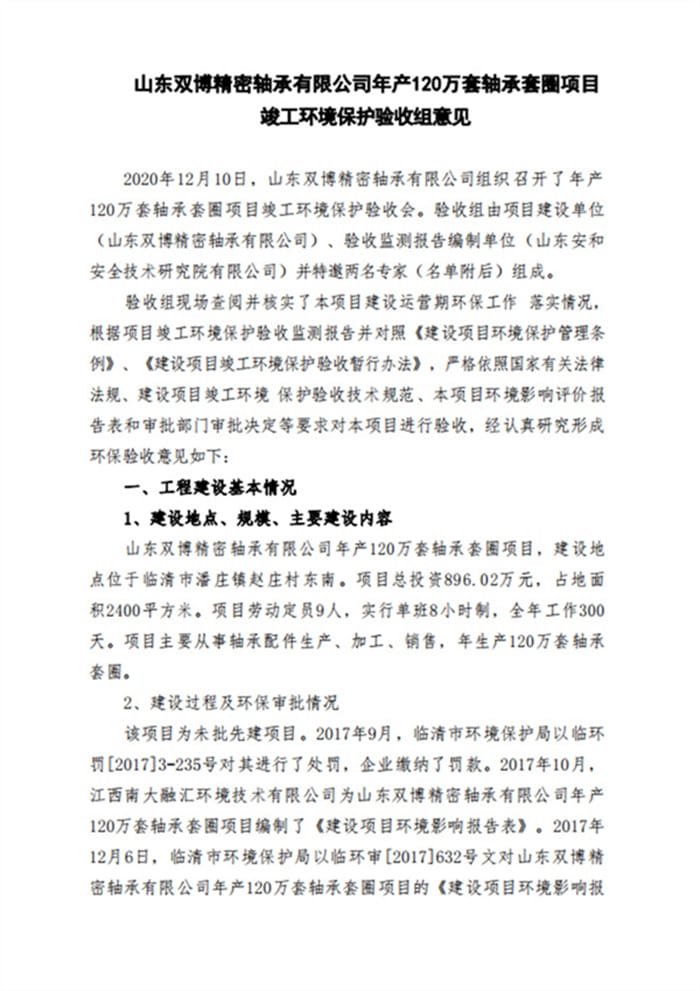 山东双博精密轴承有限公司验收报告（意见）